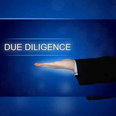 Due Diligence​